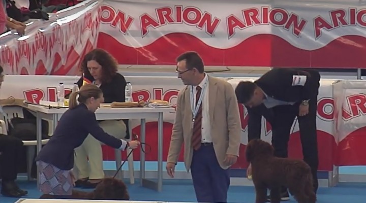 XXXII Exposición Internacional Canina