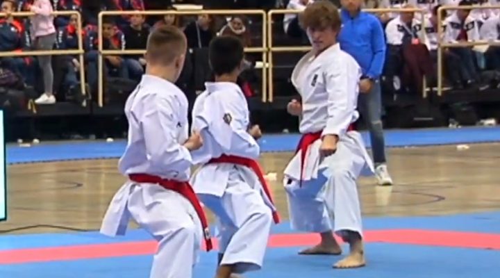 Campeonato de España de Karate